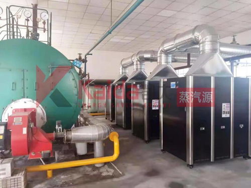 真低氮選凱大 食品廠4臺(tái)1t超低氮變頻蒸汽源機(jī)組完美替換4t傳統(tǒng)燃?xì)忮仩t及防雷箱應(yīng)用