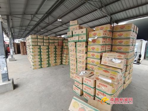 南昌最大 菜籃子 交易火熱 貨足價穩(wěn)